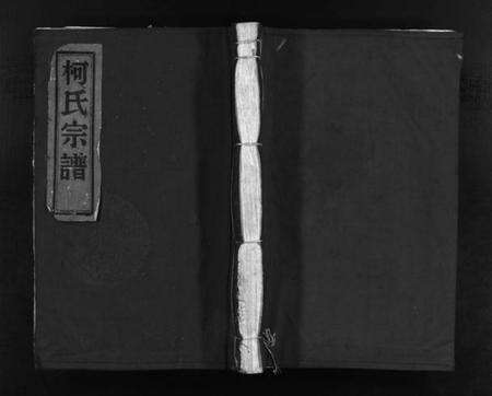 浙江柯氏族谱-柯氏宗谱 [不分卷].pdf电子版预览图1