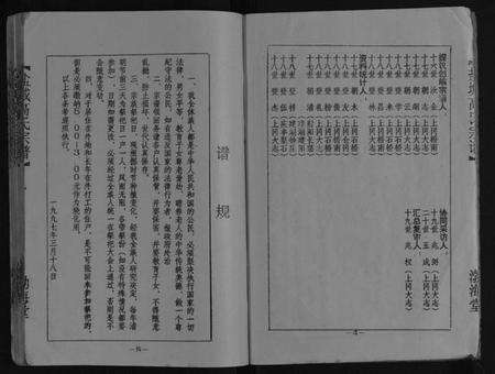 江苏高氏族谱-盐城高氏宗谱[不分卷].pdf电子版预览图5