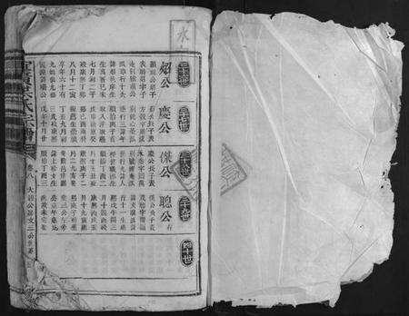 江西洪氏族谱-宜黄洪氏宗谱.pdf电子版预览图1