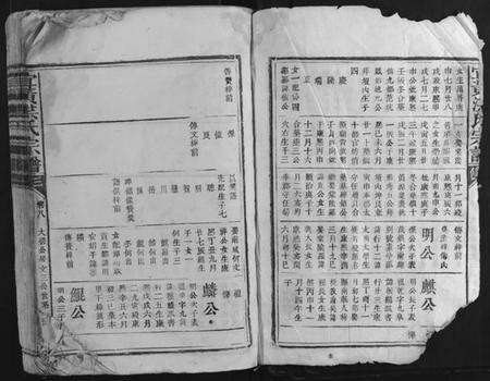 江西洪氏族谱-宜黄洪氏宗谱.pdf电子版预览图2