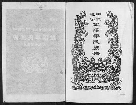 湖南李氏族谱-盆溪李氏族谱.pdf电子版预览图1