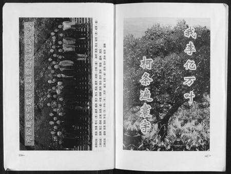 湖南李氏族谱-盆溪李氏族谱.pdf电子版预览图4