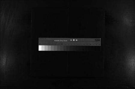 浙江缪氏族谱-栢岩缪氏宗谱 [不分卷].pdf电子版缩略图