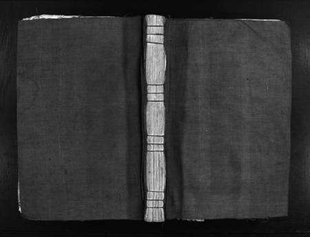 浙江缪氏族谱-栢岩缪氏宗谱 [不分卷].pdf电子版预览图1