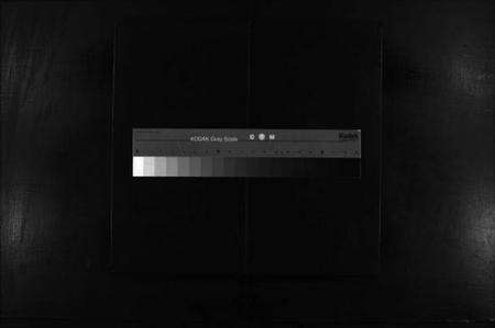 浙江缪氏族谱-栢岩缪氏宗谱 [不分卷].pdf电子版缩略图