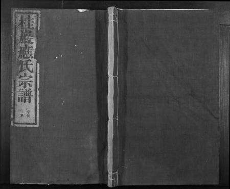 浙江应氏族谱-桂岩应氏宗谱[10卷].pdf电子版缩略图