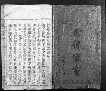 浙江应氏族谱-桂岩应氏宗谱[10卷].pdf电子版预览图1