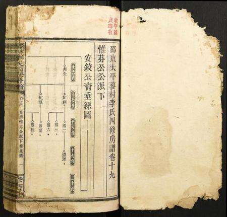 湖南李氏族谱-蓼村李氏四修房谱.pdf电子版预览图1