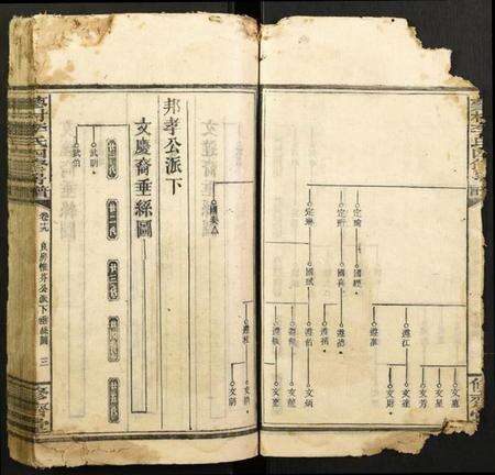 湖南李氏族谱-蓼村李氏四修房谱.pdf电子版预览图3