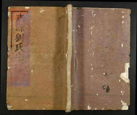 浙江刘氏族谱-桃源刘氏宗谱.pdf电子版缩略图