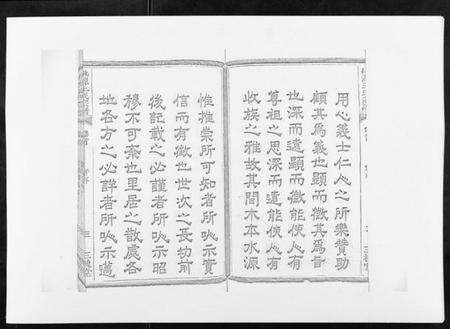 浙江王氏族谱-桃源王氏宗谱[60卷首末各1卷].pdf电子版预览图3