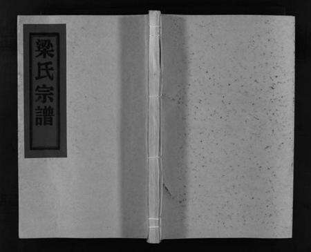 浙江梁氏族谱-梁氏宗谱 [不分卷].pdf电子版预览图1