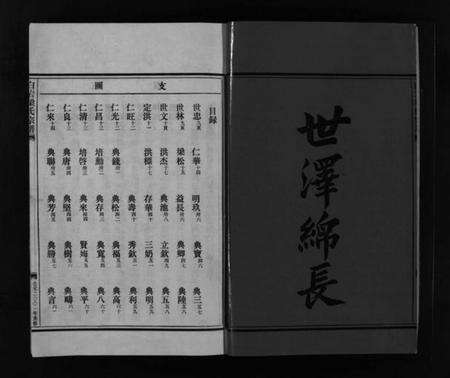 浙江梁氏族谱-梁氏宗谱 [不分卷].pdf电子版预览图3