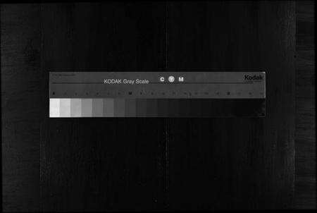 浙江骆氏族谱-梅林骆氏宗谱 [10卷].pdf电子版缩略图