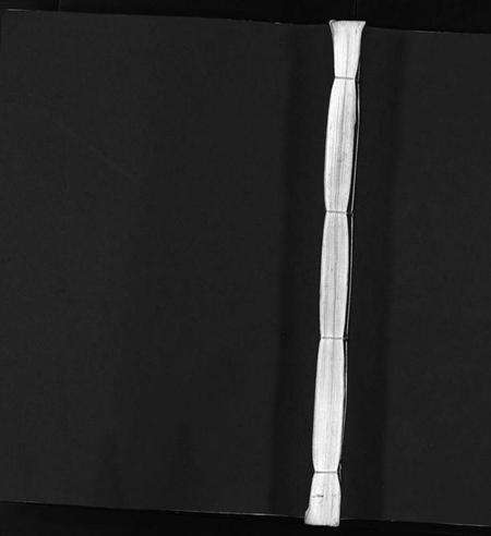 浙江梅氏族谱-梅氏宗谱 [不分卷].pdf电子版预览图1