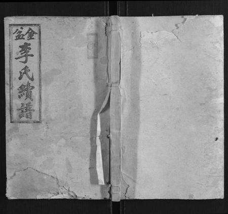 湖南李氏族谱-金盆李氏续修族谱.pdf电子版缩略图