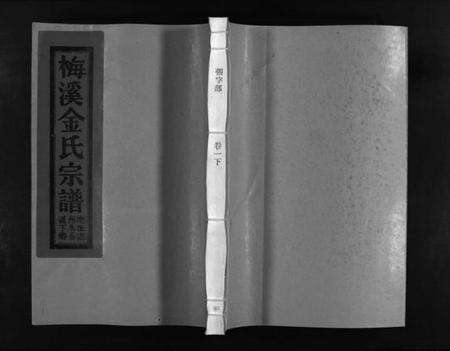 浙江金氏族谱-梅溪金氏宗谱 [15卷].pdf电子版预览图1