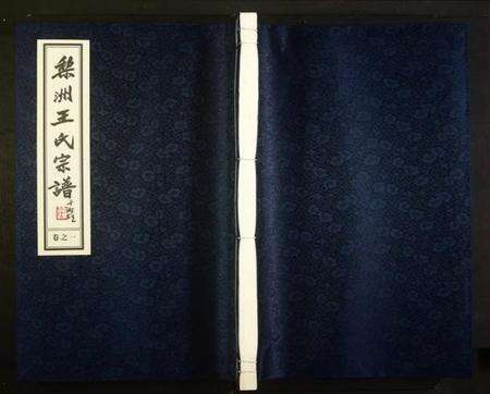 浙江王氏族谱-梨洲王氏宗谱.pdf电子版缩略图