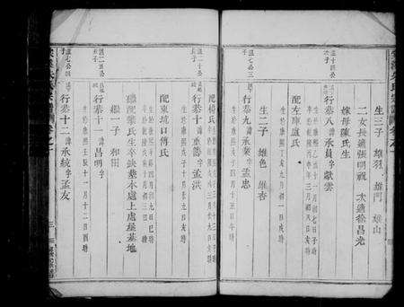 浙江朱氏族谱-棠溪朱氏宗谱 [残卷].pdf电子版预览图4