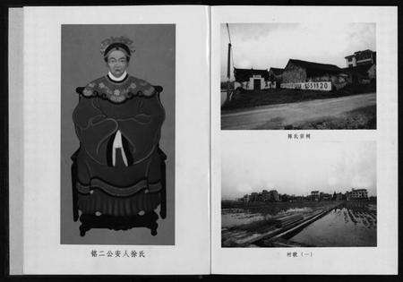 浙江陈氏族谱-棠溪陈氏宗谱前金村谱 [不分卷].pdf电子版预览图4