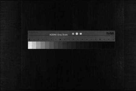 浙江吕氏族谱-杨武吕氏宗谱 [不分卷].pdf电子版缩略图