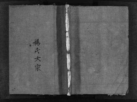 浙江杨氏族谱-杨氏大宗 [不分卷].pdf电子版预览图1