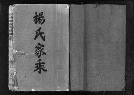 浙江杨氏族谱-杨氏大宗 [不分卷].pdf电子版预览图2