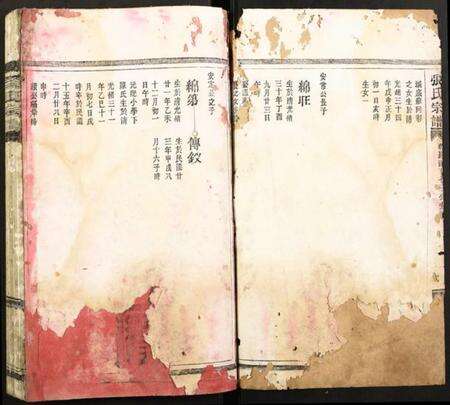 浙江杨氏族谱-杨氏宗谱.pdf电子版预览图1