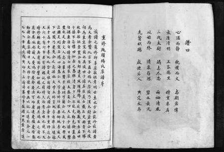 浙江杨氏族谱-杨氏宗谱总谱 [不分卷].pdf电子版预览图5