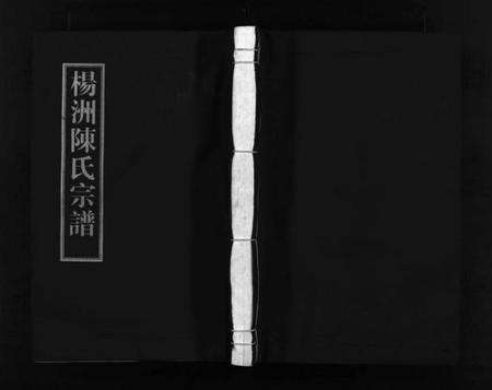 浙江陈氏族谱-杨洲陈氏宗谱 [3卷,首1卷].pdf电子版预览图1