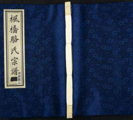 浙江骆氏族谱-枫桥骆氏宗谱.pdf电子版缩略图