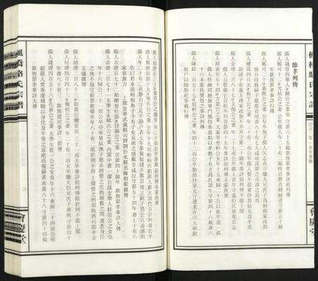 浙江骆氏族谱-枫桥骆氏宗谱.pdf电子版预览图3