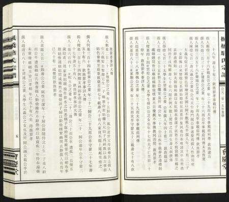 浙江骆氏族谱-枫桥骆氏宗谱.pdf电子版预览图5