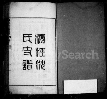 浙江沈氏族谱-枫泾沈氏支谱 [3卷].pdf电子版预览图2