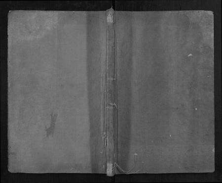 湖南梁氏族谱-梁氏支谱[2册].pdf电子版缩略图