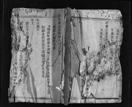 浙江林氏族谱-乐东大芙蓉林氏房谱 [残卷].pdf电子版预览图1