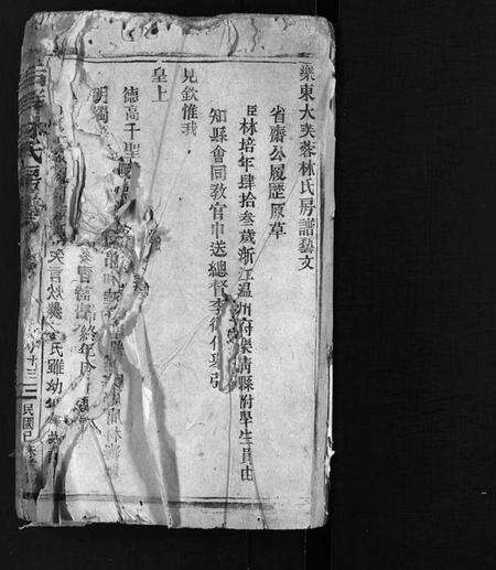 浙江林氏族谱-乐东大芙蓉林氏房谱 [残卷].pdf电子版预览图2