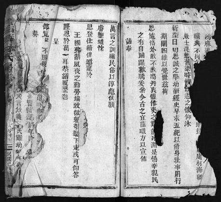 浙江林氏族谱-乐东大芙蓉林氏房谱 [残卷].pdf电子版预览图3