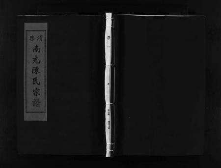 浙江陈氏族谱-乐清南充陈氏宗谱 [5卷,又1卷].pdf电子版预览图1