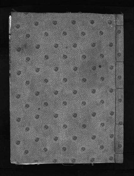 浙江余氏族谱-乐清寺前蓬山余氏宗谱 [不分卷].pdf电子版预览图1