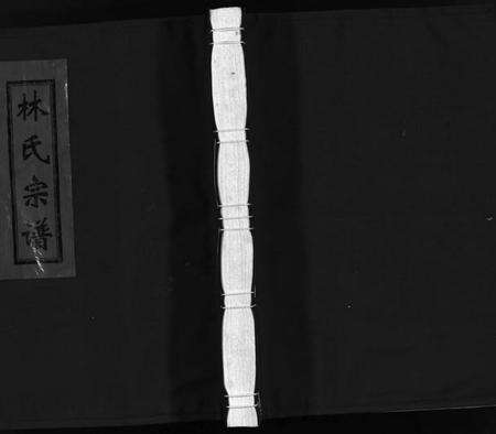 浙江林氏族谱-乐清巨渡林氏宗谱 [不分卷].pdf电子版预览图1