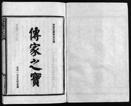 浙江林氏族谱-乐清巨渡林氏宗谱 [不分卷].pdf电子版预览图2