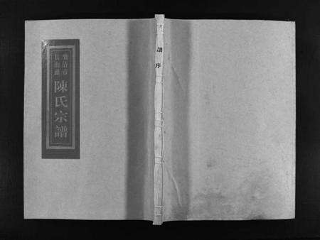 浙江陈氏族谱-乐清市长山头陈氏宗谱 [5卷,首1卷].pdf电子版预览图1
