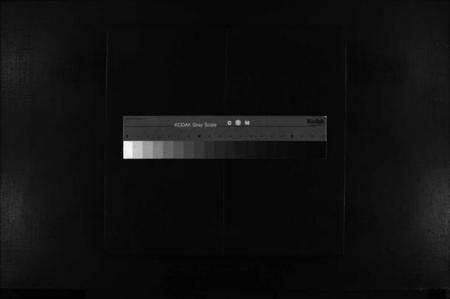 浙江蒋氏族谱-乐清盛岙蒋氏大宗谱 [残卷].pdf电子版缩略图