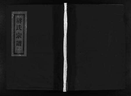 浙江蒋氏族谱-乐清盛岙蒋氏大宗谱 [残卷].pdf电子版预览图1