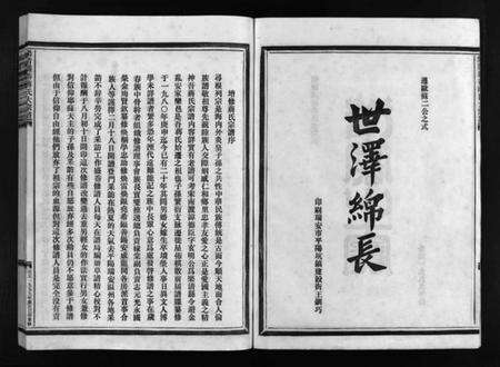 浙江蒋氏族谱-乐清盛岙蒋氏大宗谱 [残卷].pdf电子版预览图3