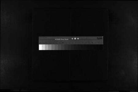 浙江林氏族谱-乐清芙蓉林氏宗谱 [16卷,附1卷].pdf电子版缩略图