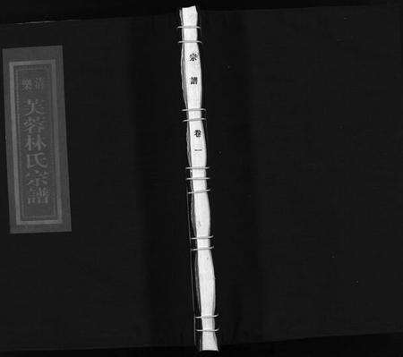 浙江林氏族谱-乐清芙蓉林氏宗谱 [16卷,附1卷].pdf电子版预览图1