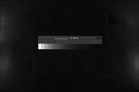 浙江潘氏族谱-乐清虹桥潘氏宗谱 [不分卷].pdf电子版缩略图