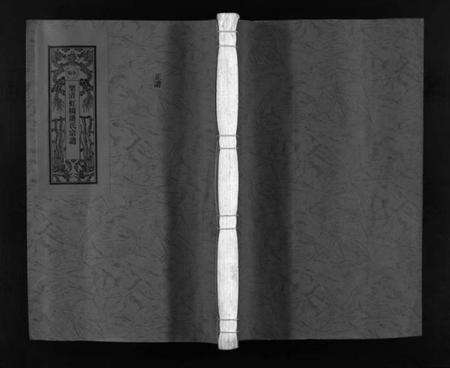 浙江潘氏族谱-乐清虹桥潘氏宗谱 [不分卷].pdf电子版预览图1